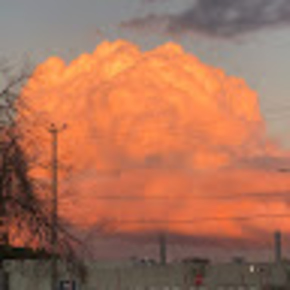 Meet your Posher, Yasmine - Picture 1 of 1